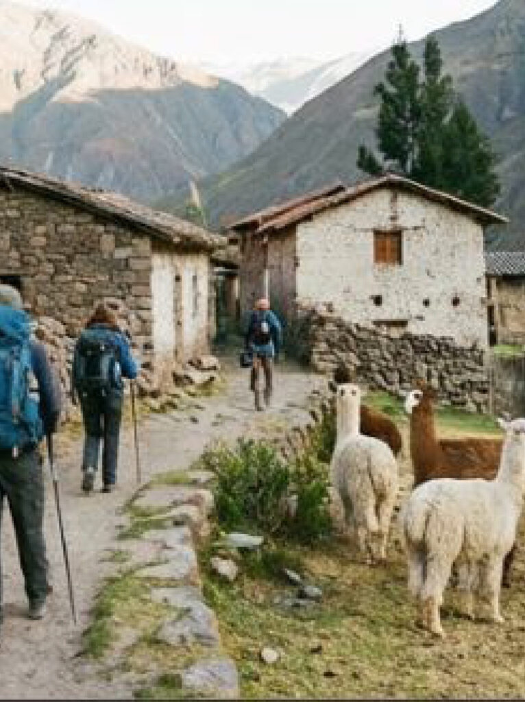caÑon de colca 3